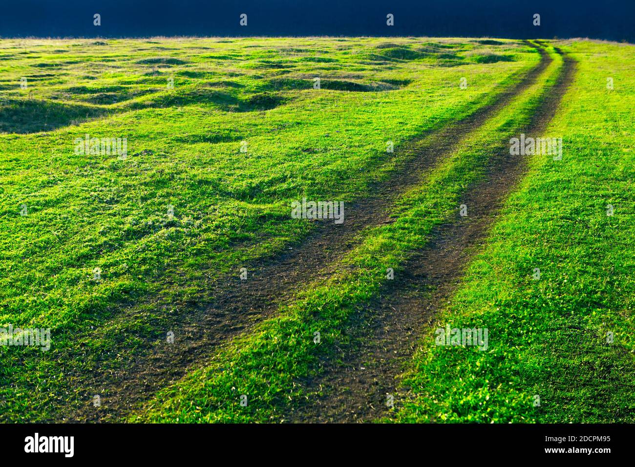 Country road in green meadow . Way through the green grass Stock Photo