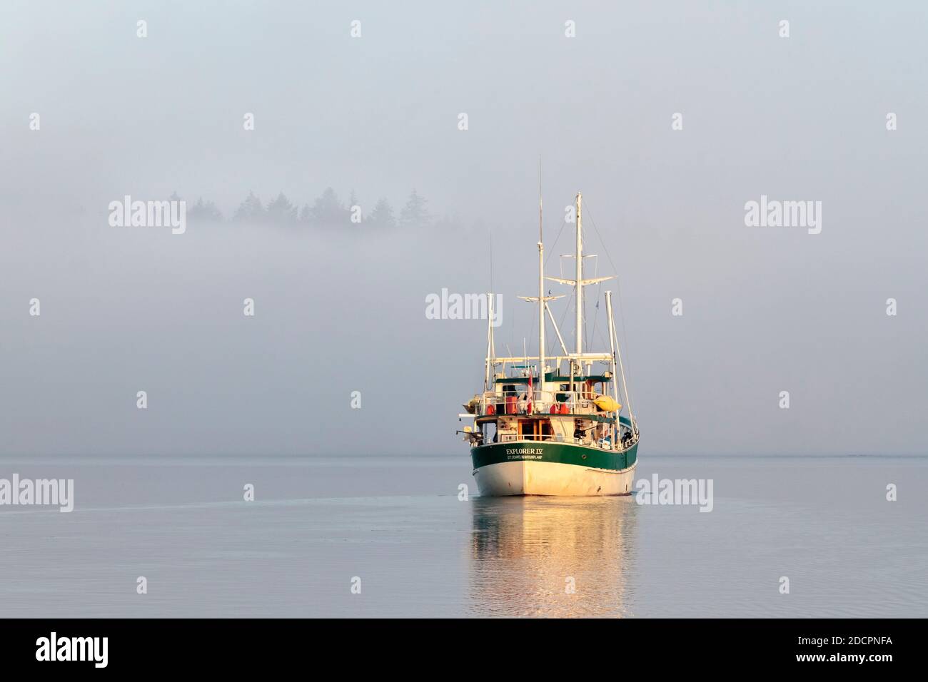 A pleasure cruiser (seen from astern) is underway on a bright foggy morning, no landmarks visible except the tops of tall trees on the shore ahead. Stock Photo