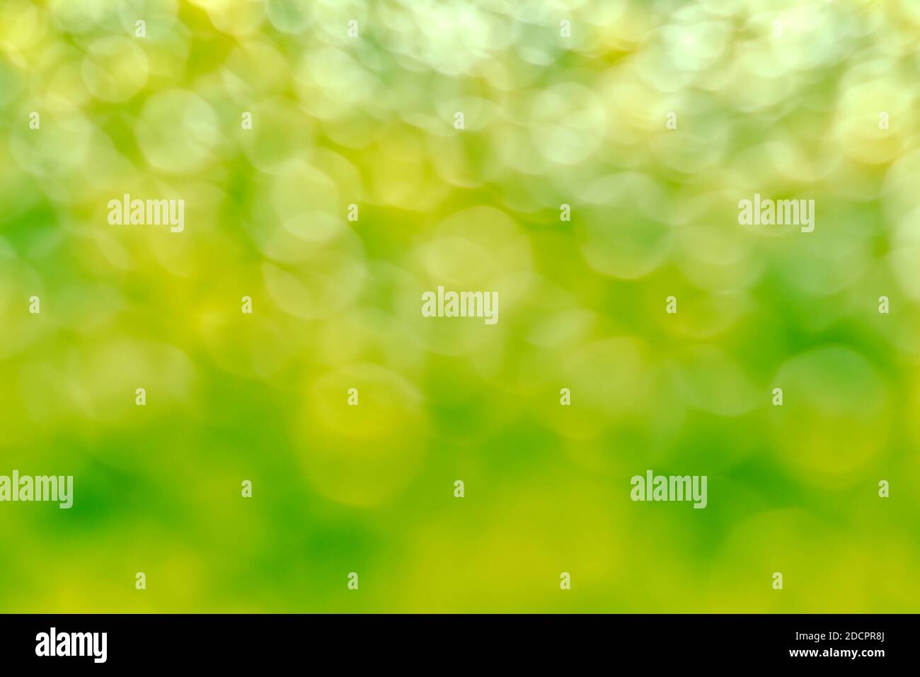 Herbal sunny abstract airy blurred background. Lots of translucent bokeh circles. Stock Photo