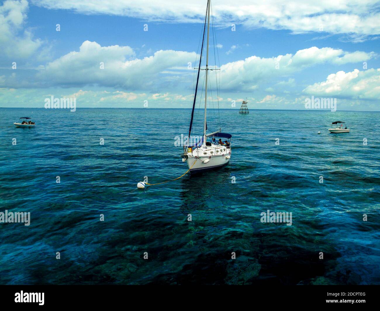 Coral reefs off Key largo, Florida Keys, FL, US Stock Photo Alamy