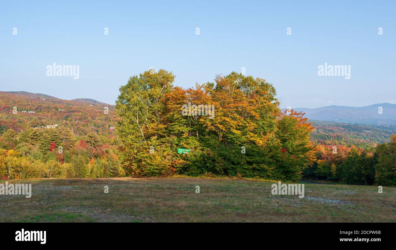 Ski slope at the base of Mt. Mansfield. Deciduous forest changing colors in the fall. Maple, beech, birch, and hemlock trees. Ski resort in Stowe, VT. Stock Photo