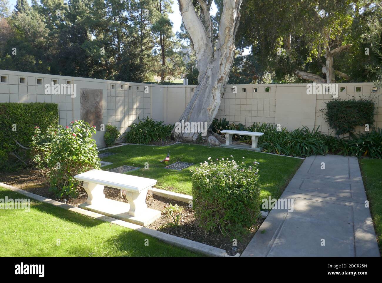 Los Angeles, California, USA 17th November 2020 A general view of atmosphere of comedian Don Rickles Grave at Mount Sinai Cemetery Hollywood Hills on November 17, 2020 in Los Angeles, California, USA. Photo by Barry King/Alamy Stock Photo Stock Photo
