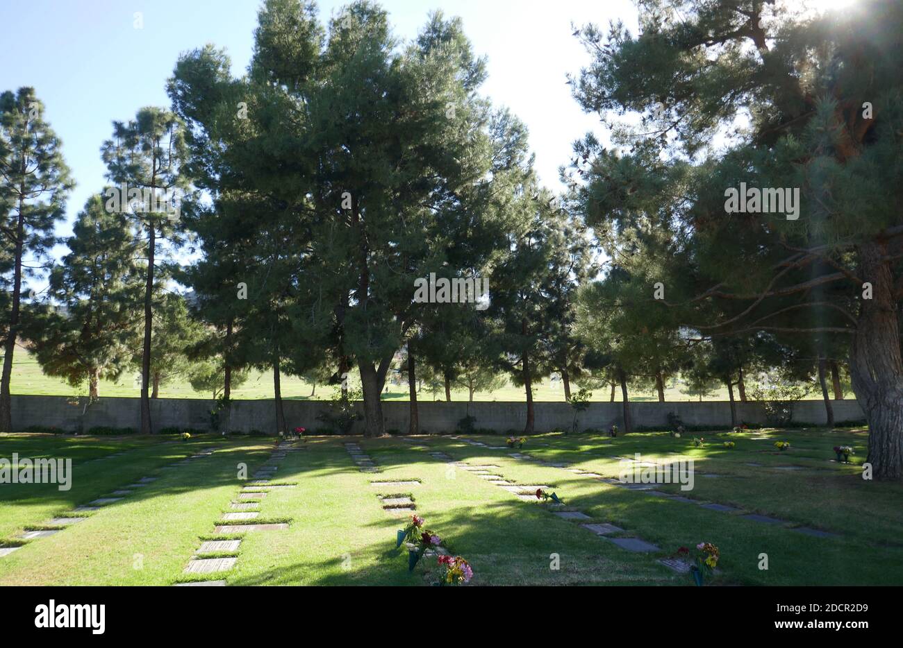 Los Angeles, California, USA 17th November 2020 A general view of ...