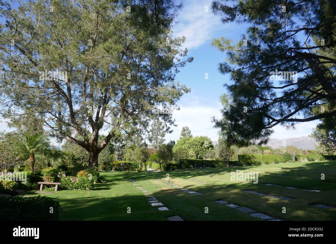 Los Angeles, California, USA 17th November 2020 A general view of