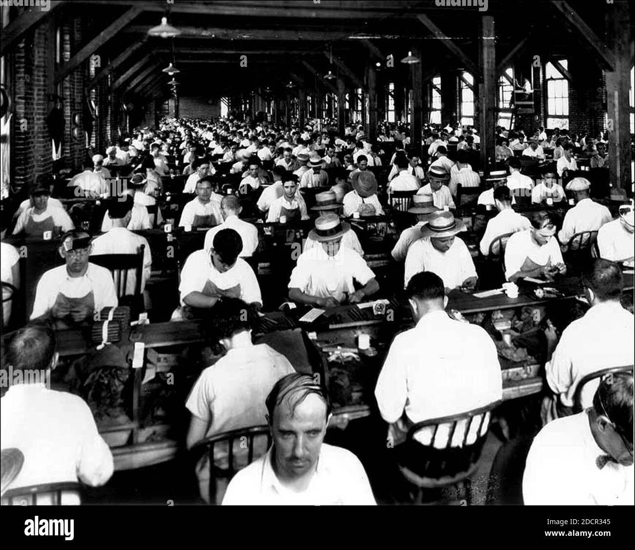 Inside an Ybor City cigar factory c. 1920 Stock Photo Alamy