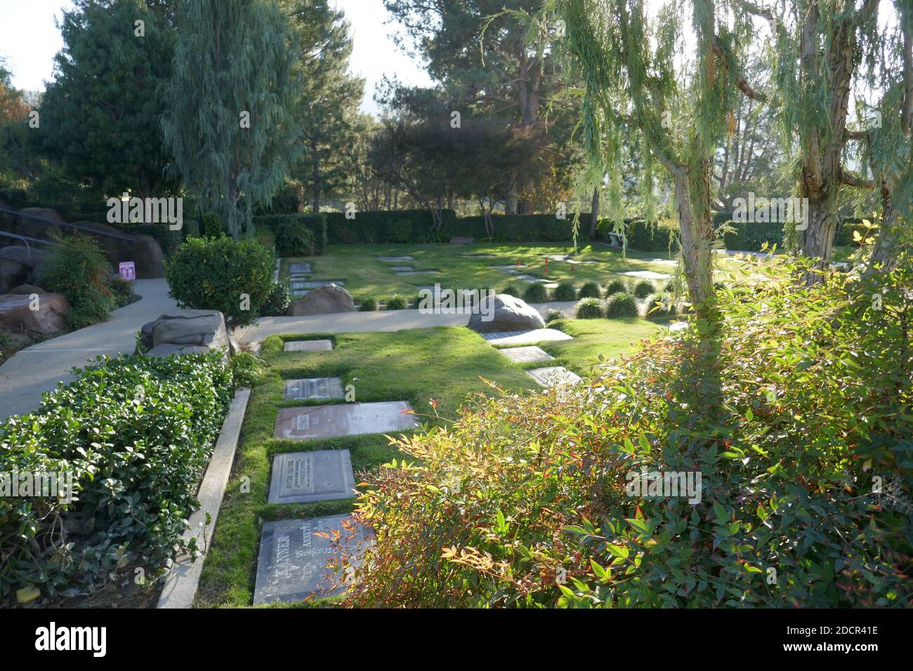 Los Angeles, California, USA 17th November 2020 A general view of atmosphere of Executive Brandon Tartikoff's Grave at Mount Sinai Cemetery Hollywood Hills on November 17, 2020 in Los Angeles, California, USA. Photo by Barry King/Alamy Stock Photo Stock Photo