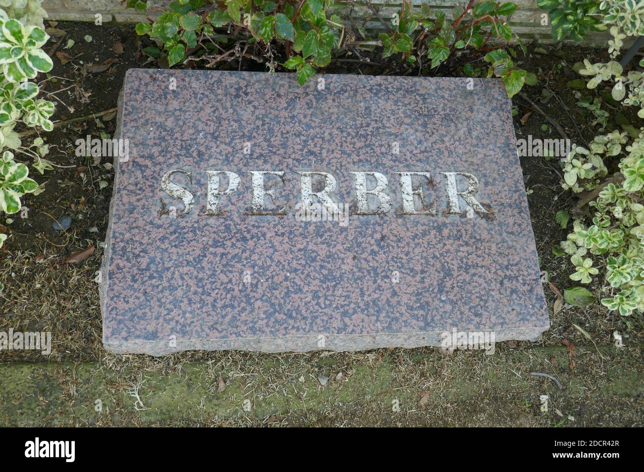 Los Angeles, California, USA 17th November 2020 A general view of atmosphere of actress Wendie Jo Sperber's Grave at Mount Sinai Cemetery Hollywood Hills on November 17, 2020 in Los Angeles, California, USA. Photo by Barry King/Alamy Stock Photo Stock Photo