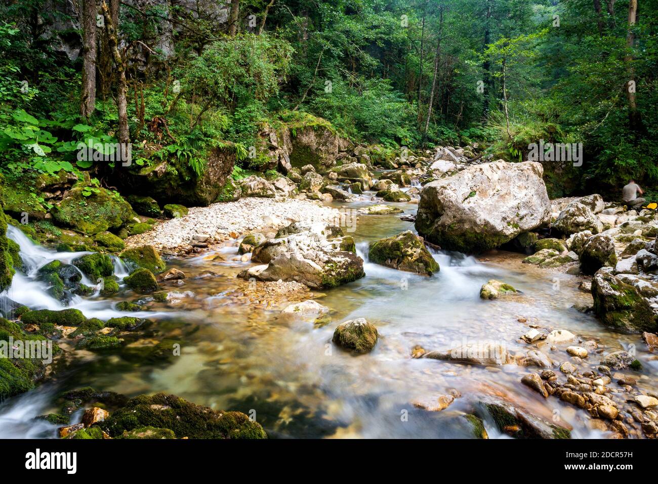 River deep in mountain forest. Nature composition. Stock Photo