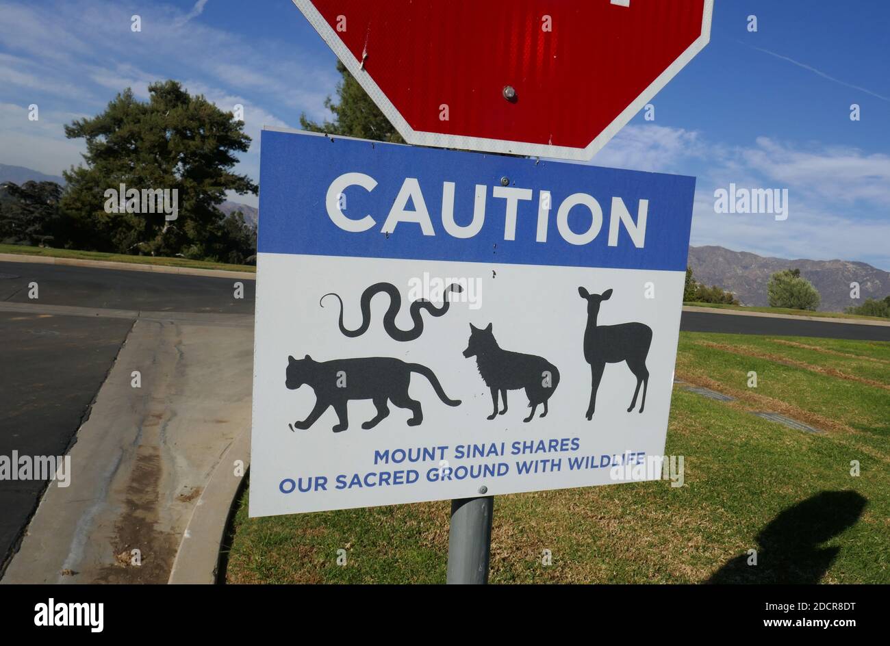 Los Angeles, California, USA 17th November 2020 A general view of atmosphere Caution Wildlife Sign at Mount Sinai Cemetery Hollywood Hills on November 17, 2020 in Los Angeles, California, USA. Photo by Barry King/Alamy Stock Photo Stock Photo