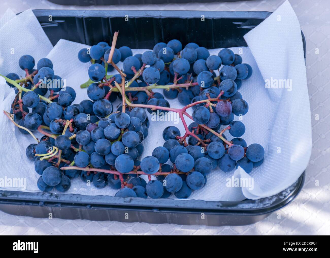 picture with grapes of different shapes and colors on the table, grape