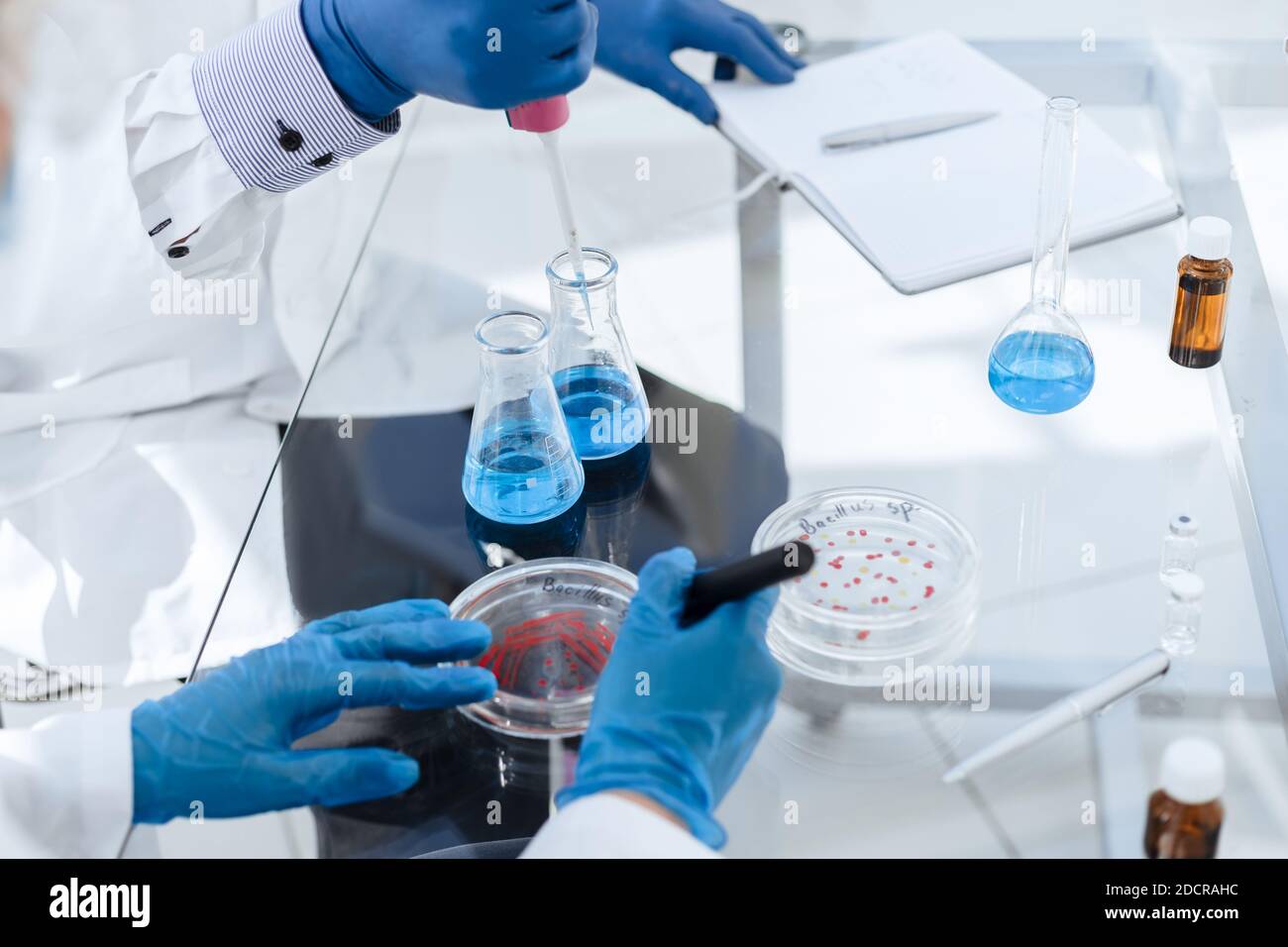 scientists conduct research in a microbiological laboratory. Stock Photo