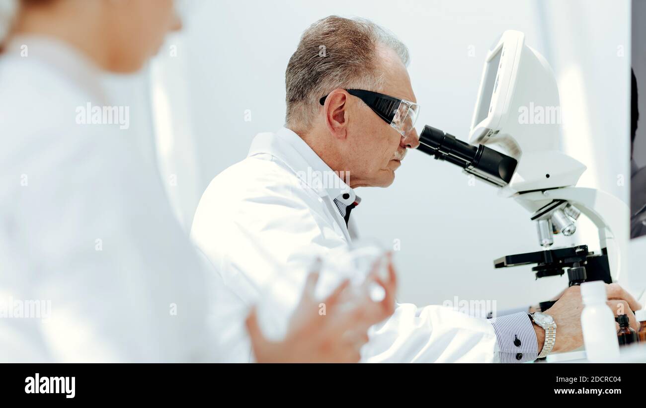 scientists using a microscope to study bacteria in a Petri dish Stock ...