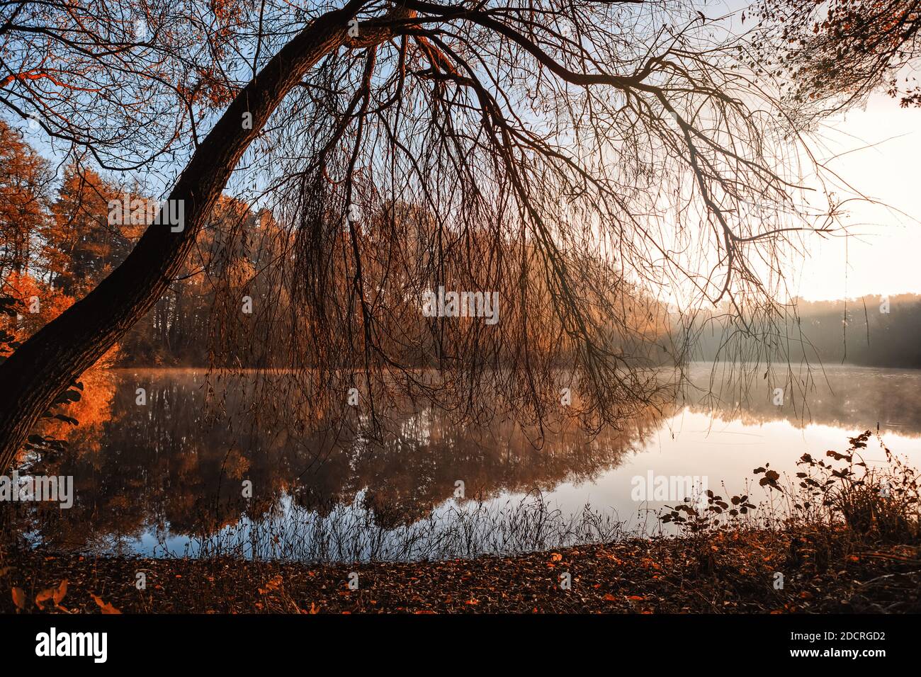 Reflect the beauty hi-res stock photography and images - Alamy