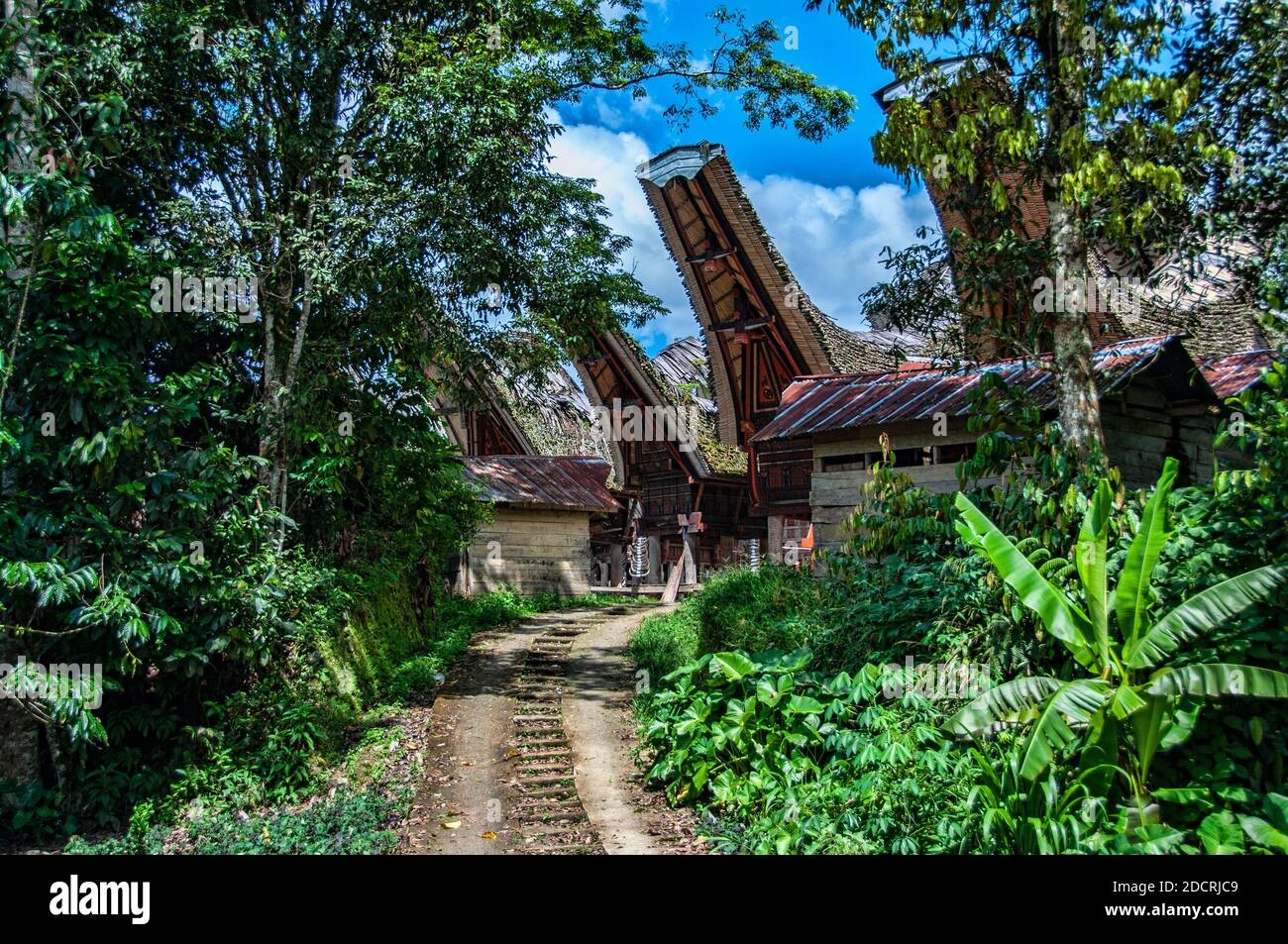 Traditional village, Tana Toraja, South Sulawesi, Indonesia Stock Photo