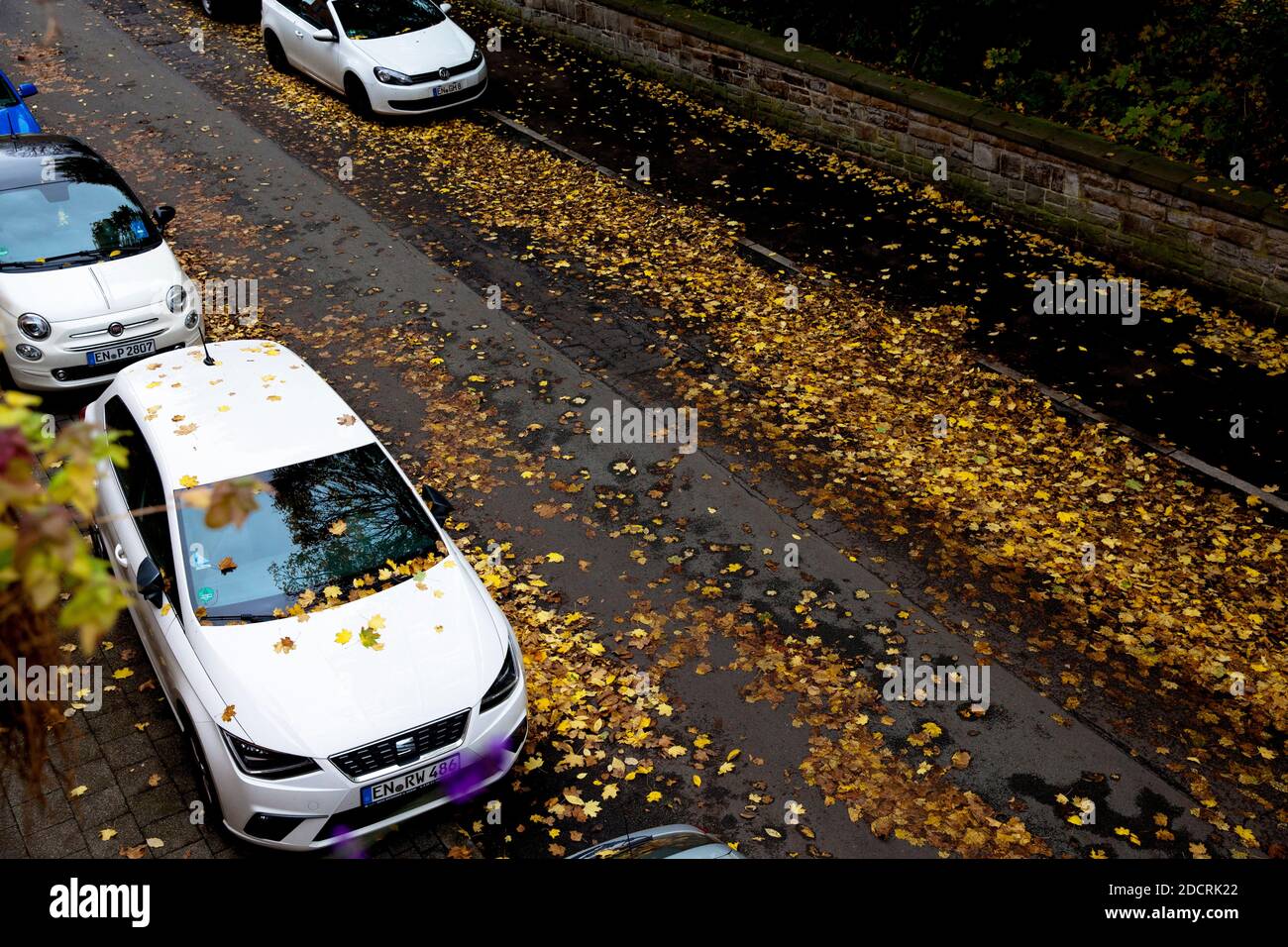 wet autumn leaves on a street, Germany.  nasses Herbstlaub liegt auf einer Strasse, Deutschland. Stock Photo