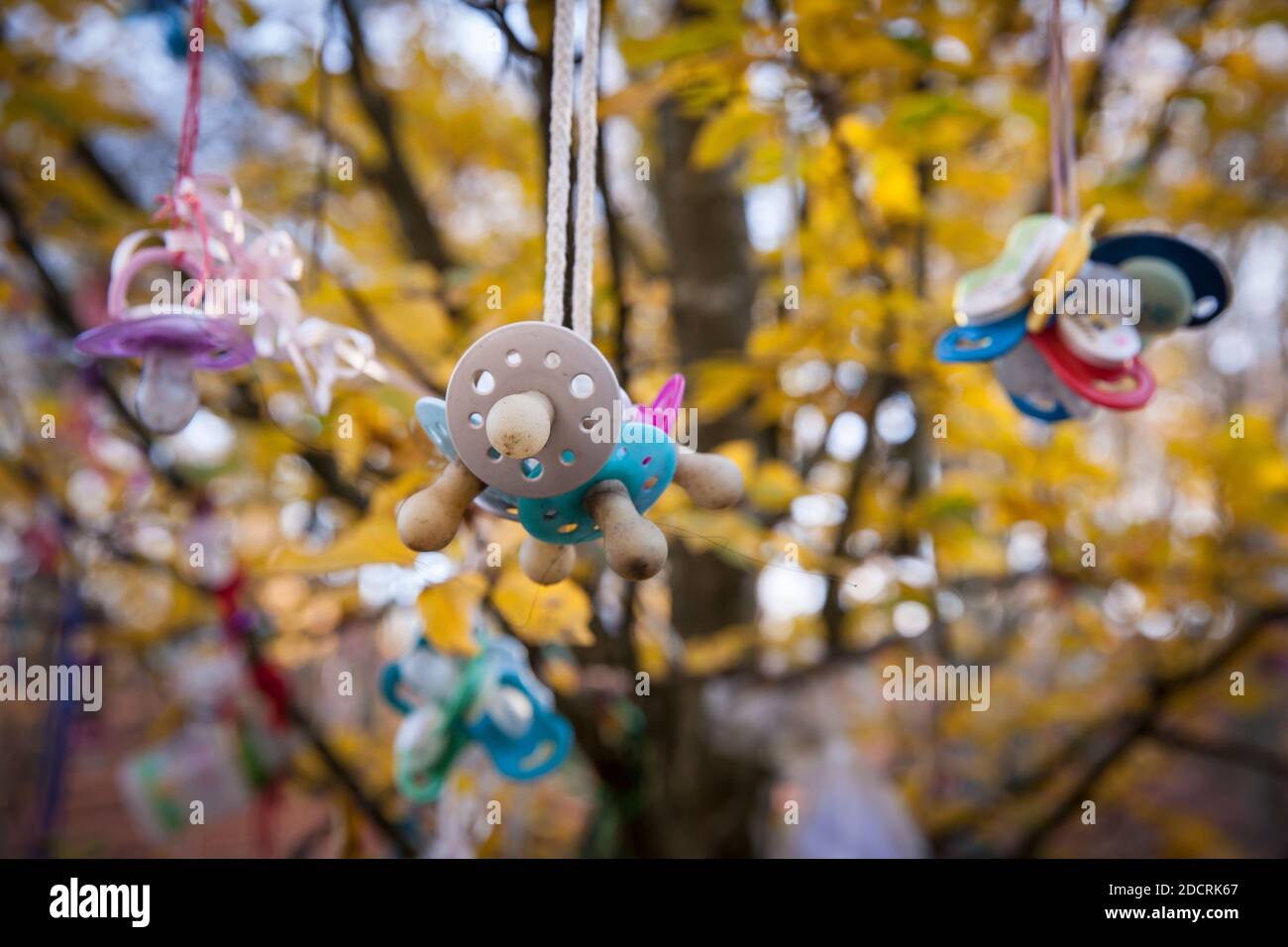 pacifier tree, for the early pacifier weaning children can hang their ...