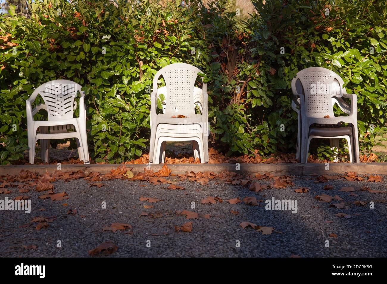 plastic garden chairs stacked in front of a hedge, Witten, North Rhine-Westphalia, Germany.  Plastikgartenstuehle stehen gestapelt vor einer Hecke, Wi Stock Photo