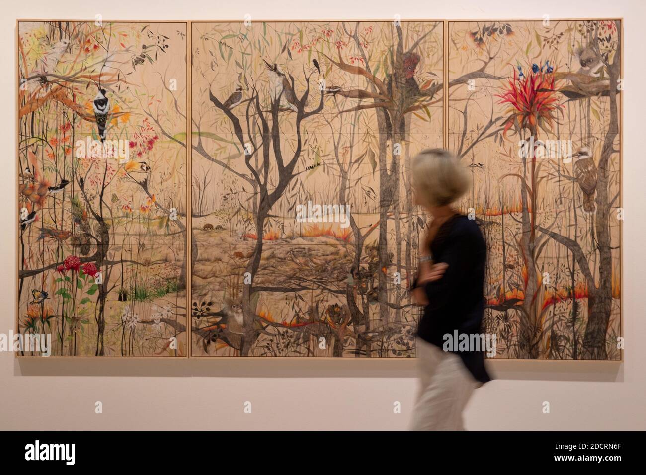Sydney, Australia. 23rd Nov, 2020. A woman visits the Archibald Prize exhibition in the Art Gallery of New South Wales in Sydney, Australia, Nov. 23, 2020. Australia's Archibald Prize has been won by an Indigenous artist. Vincent Namatjira claimed 2020's Archibald Prize for his portrait of AFL legend Adam Goodes, who is also Indigenous, in a work titled 'Stand strong for who you are.' TO GO WITH 'Indigenous Vincent Namatjira claims 2020's Archibald Prize' Credit: Zhu Hongye/Xinhua/Alamy Live News Stock Photo