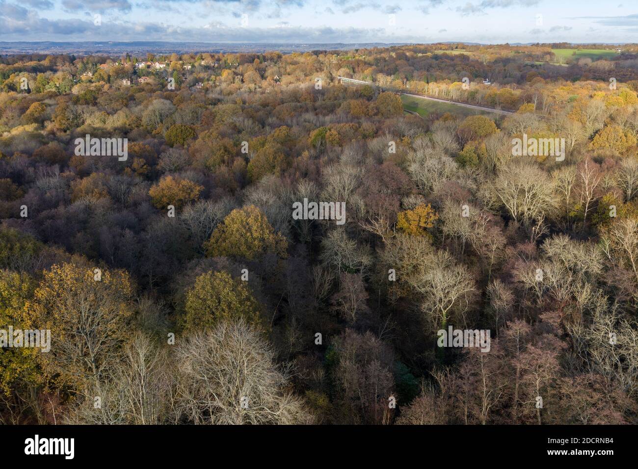 Drone aerial photos Hampshire Forest, showing levels of Forestation Stock Photo