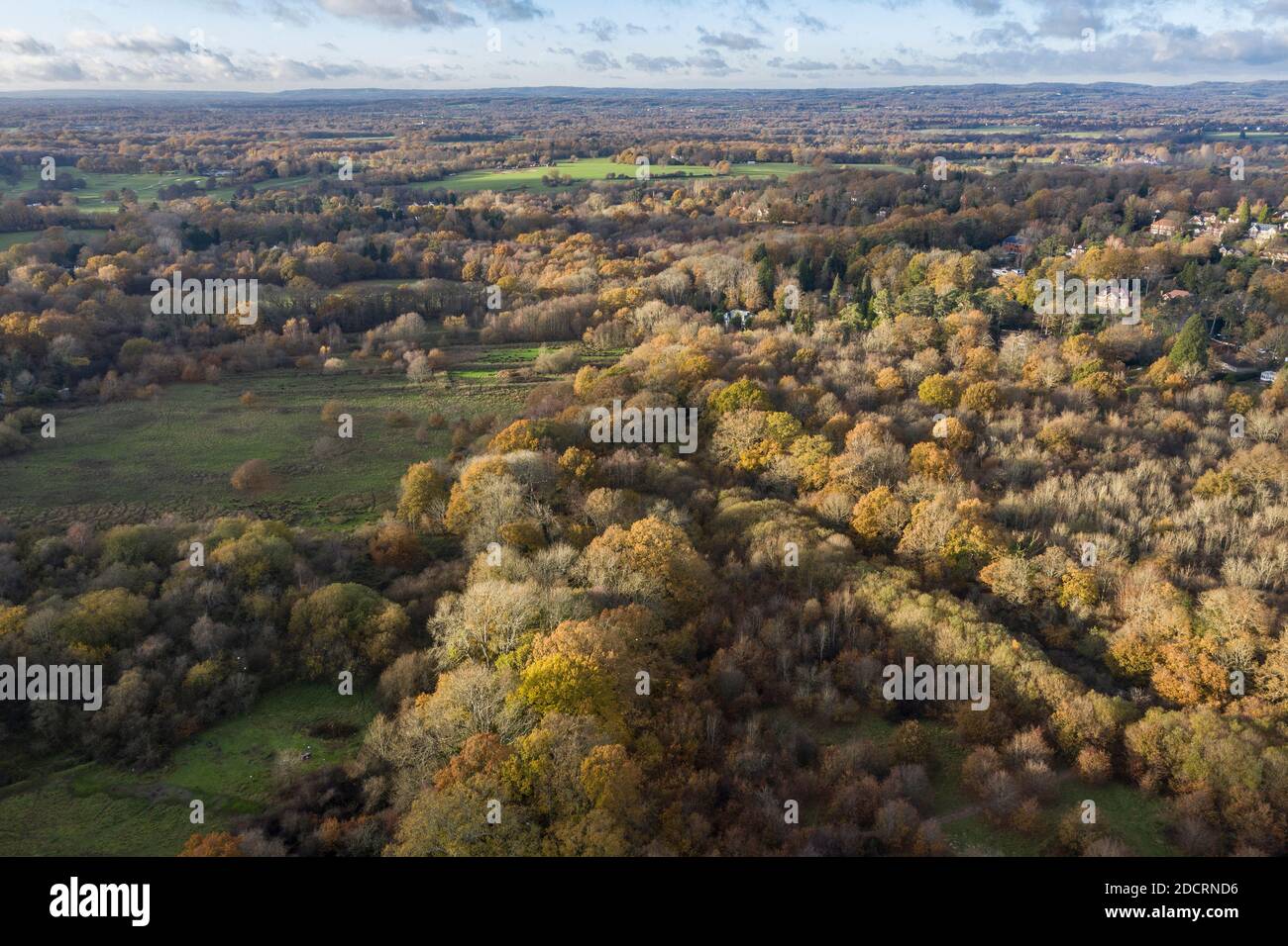 Drone aerial photos Hampshire Forest, showing levels of Forestation Stock Photo
