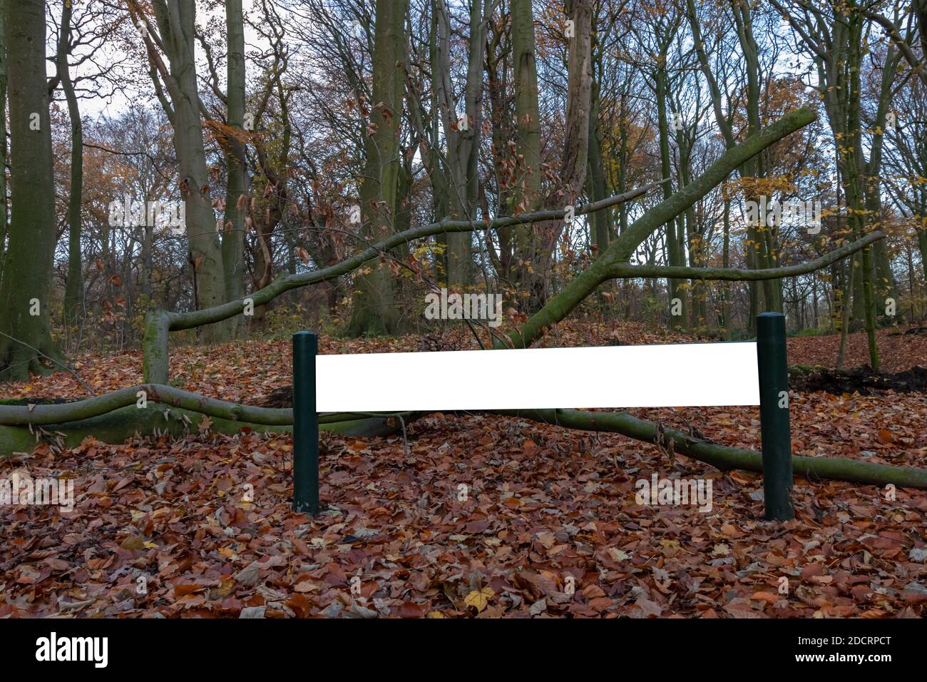 blank sign board in a park in autumn seasan fall leaves Stock Photo