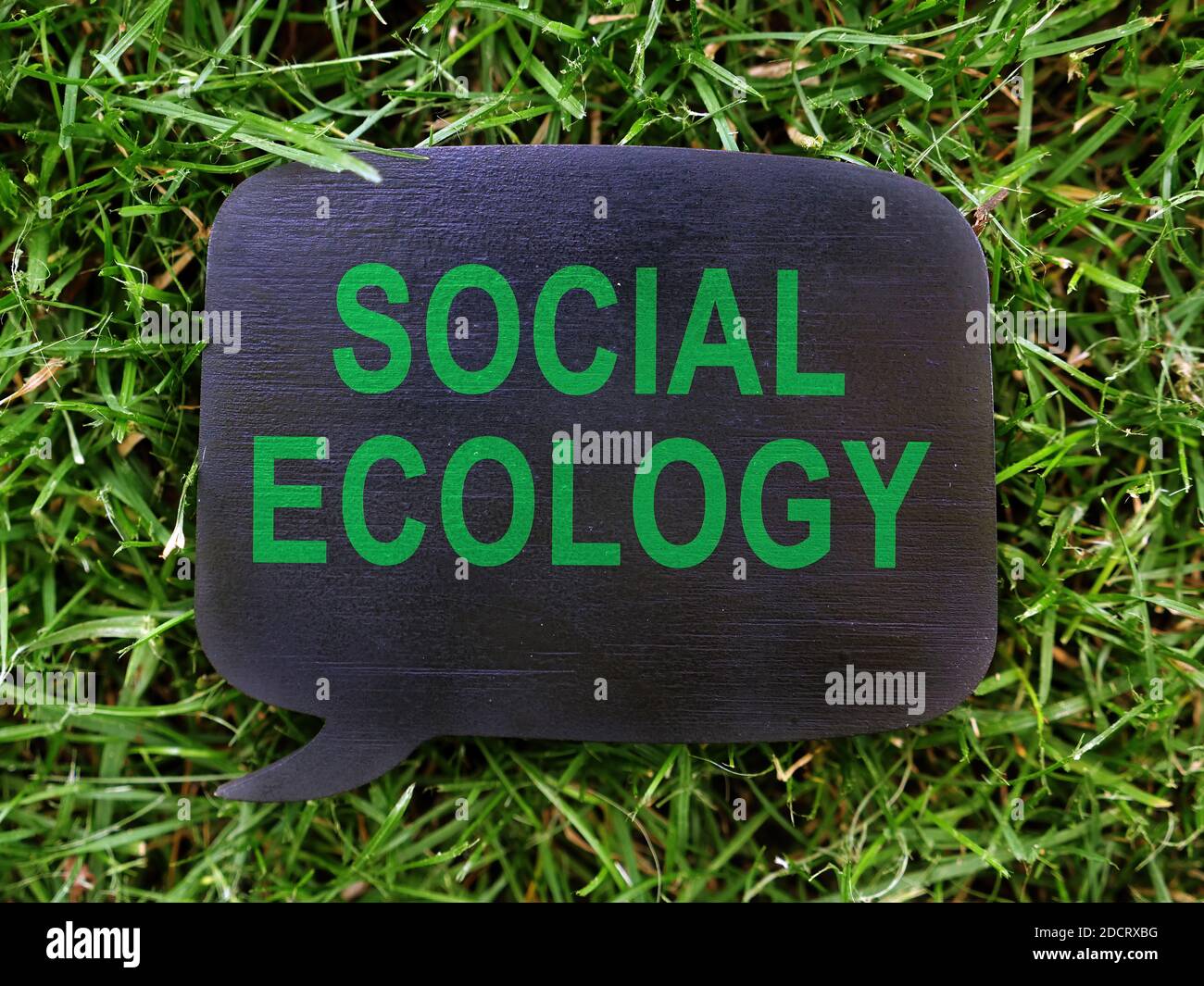 Dark plate with Social ecology on the grass. Stock Photo