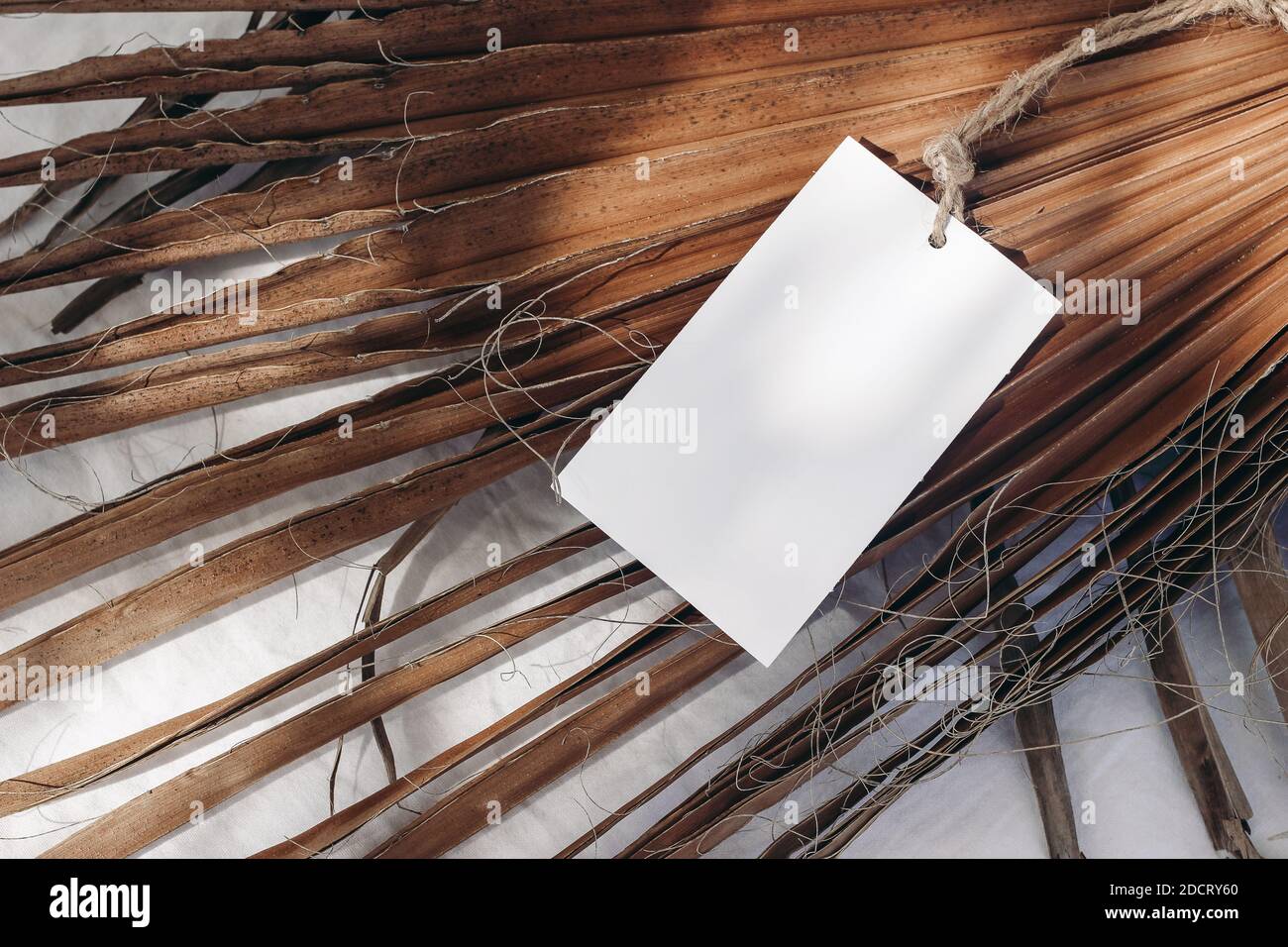 Blank gift, product tag mock-up with natural rope on dry palm leaves. Closeup of empty paper label in sunlight with shadows. Tropical still life Stock Photo