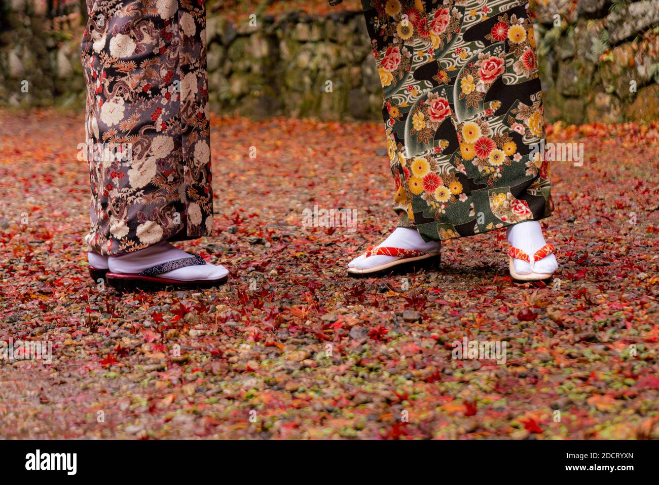 Japanese kimono in autumn background Stock Photo - Alamy