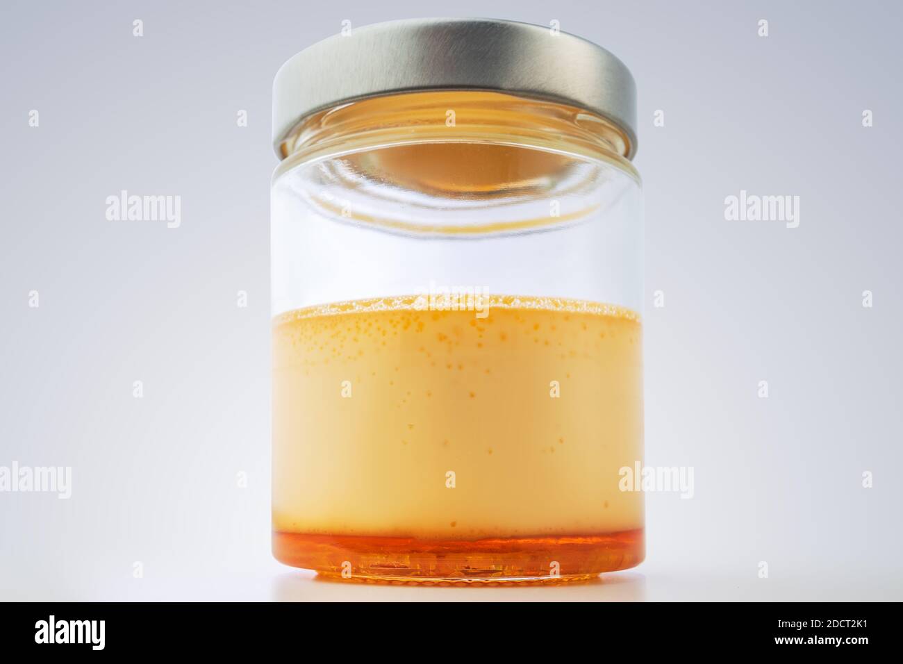 Cream caramel in a jar isolated on white background Stock Photo