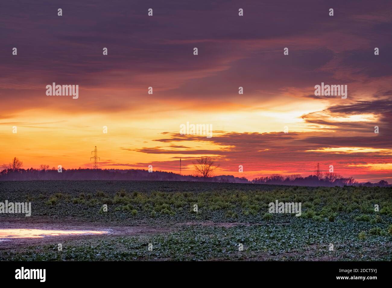 Dramatic colorful sky, before sunset, colorful  clouds formations. Stock Photo