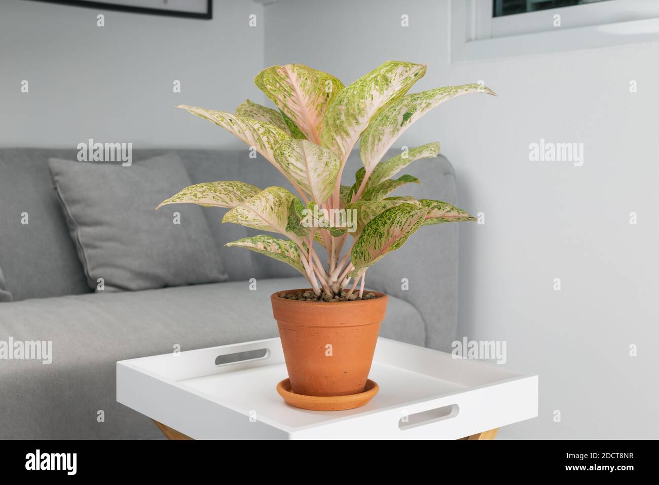 Laksap High Resolution Stock Photography and Images - Alamy