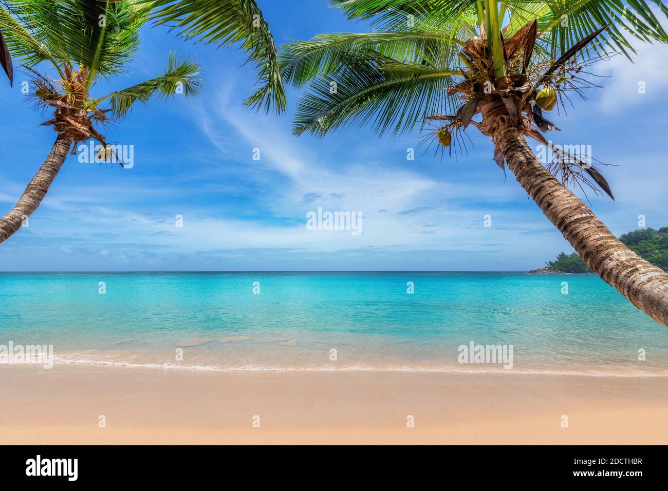 Tropical Sandy Beach With Coconut Palm Trees And The Turquoise Sea On