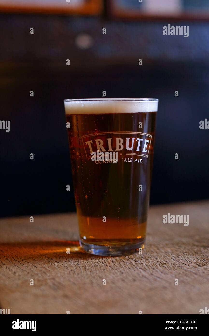 GREAT BRITAIN /Cornwall/Cornish local beer . Pint of Tribute Ale Stock Photo