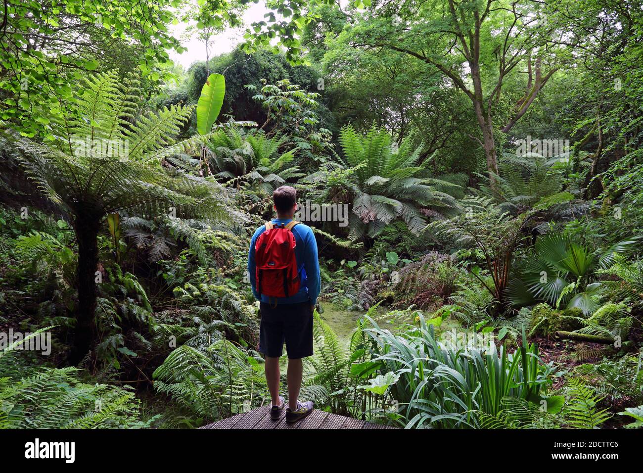 GREAT BRITAIN /Cornwall/Penzance/ Man with backpack Man with backpack at Tremenheere Gardens, Penzance, Cornwall, UK Stock Photo