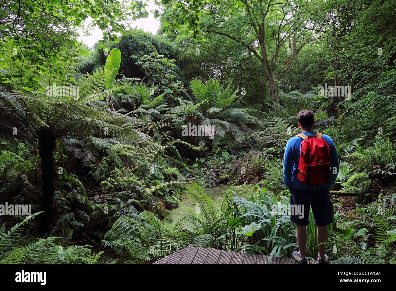 GREAT BRITAIN /Cornwall/Penzance/ Man with backpack Man with backpack at Tremenheere Gardens, Penzance, Cornwall, UK Stock Photo