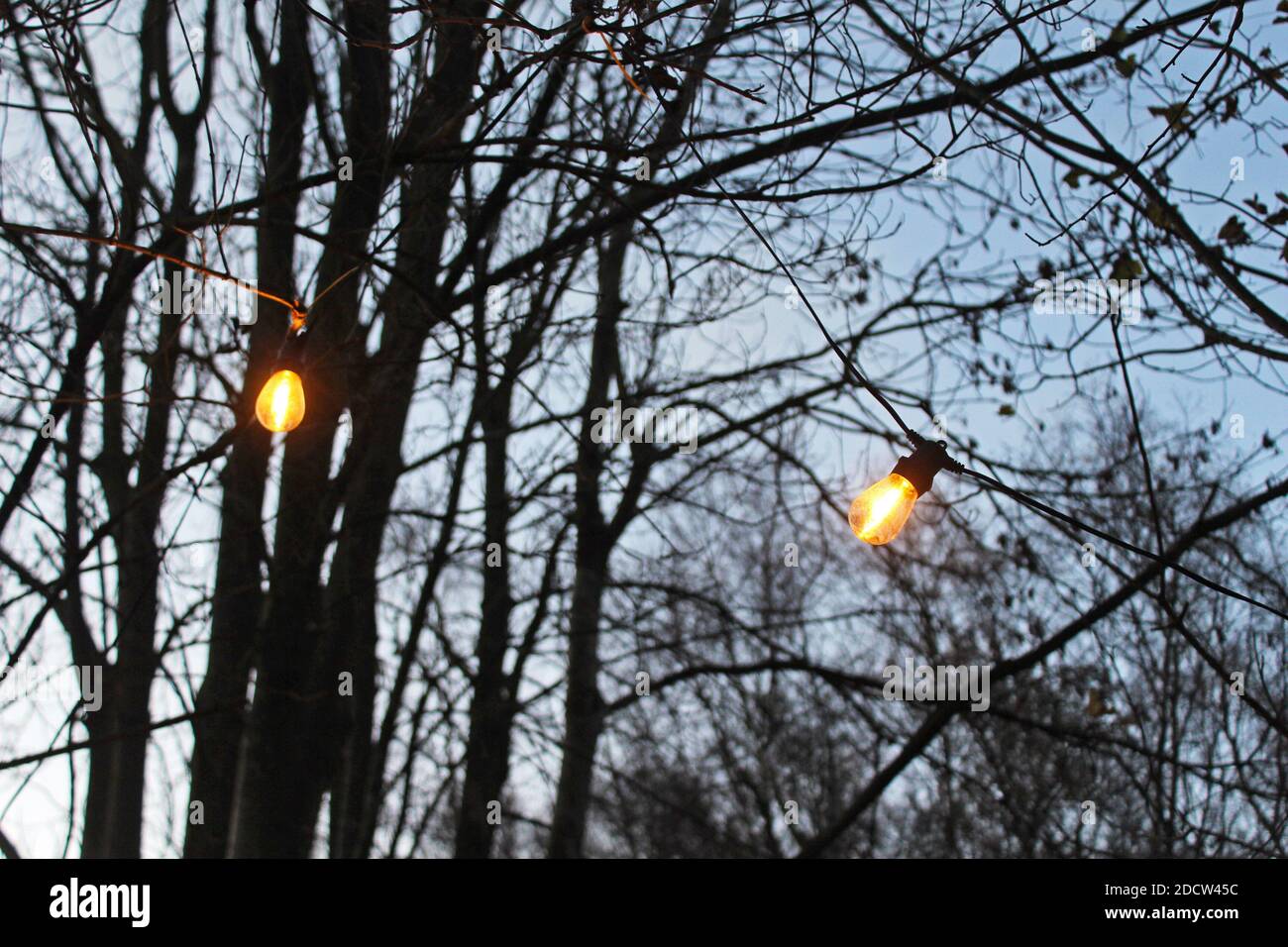 Fairy string light hires stock photography and images Alamy