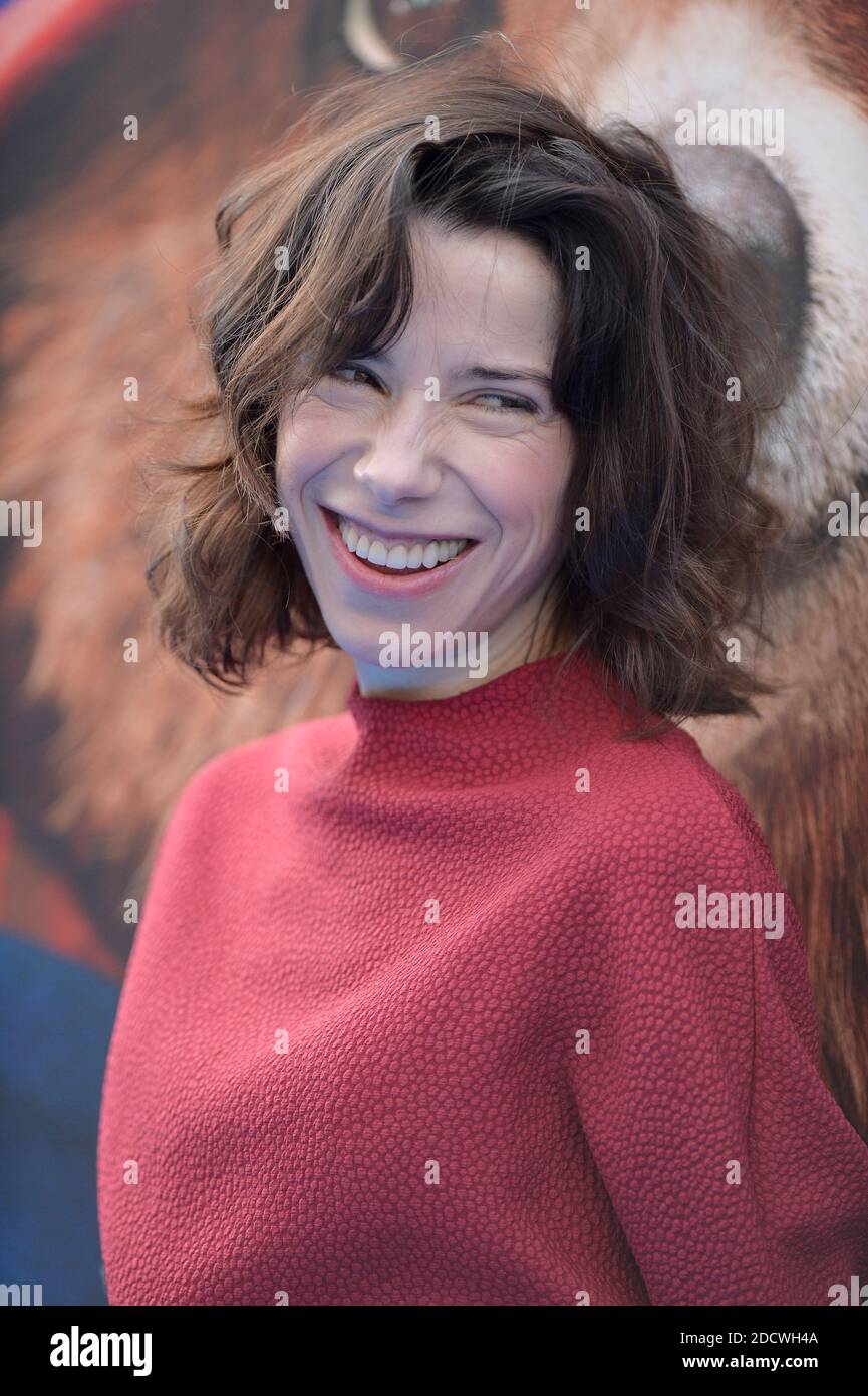 Sally Hawkins attends the Paddington 2 Los Angeles Premiere on January