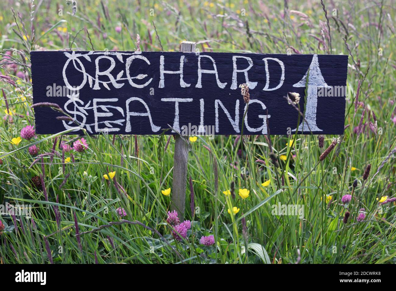 Community Orchard in Yeoman Way, Newquay . Stock Photo