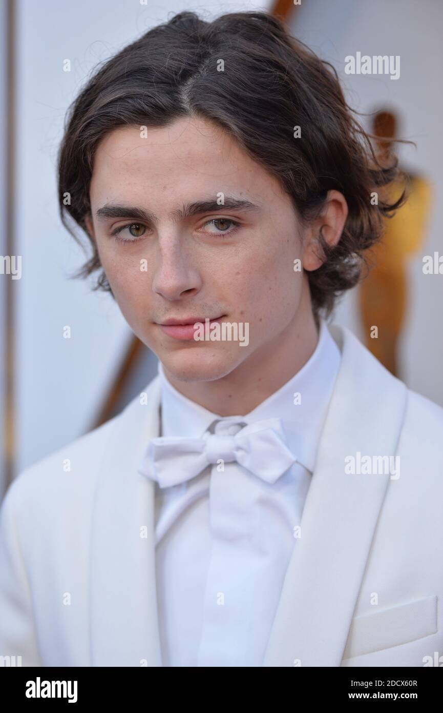 Timothee Chalamet Arriving To The 90th Annual Academy Awards Oscars timothee-chalamet-arriving-to-the-90th-annual-academy-awards-oscars