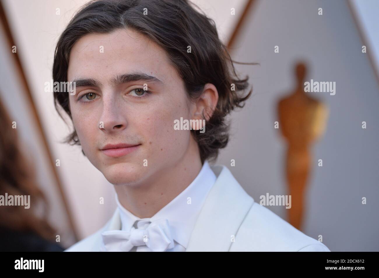 Timothee Chalamet Arriving To The 90th Annual Academy Awards Oscars timothee-chalamet-arriving-to-the-90th-annual-academy-awards-oscars