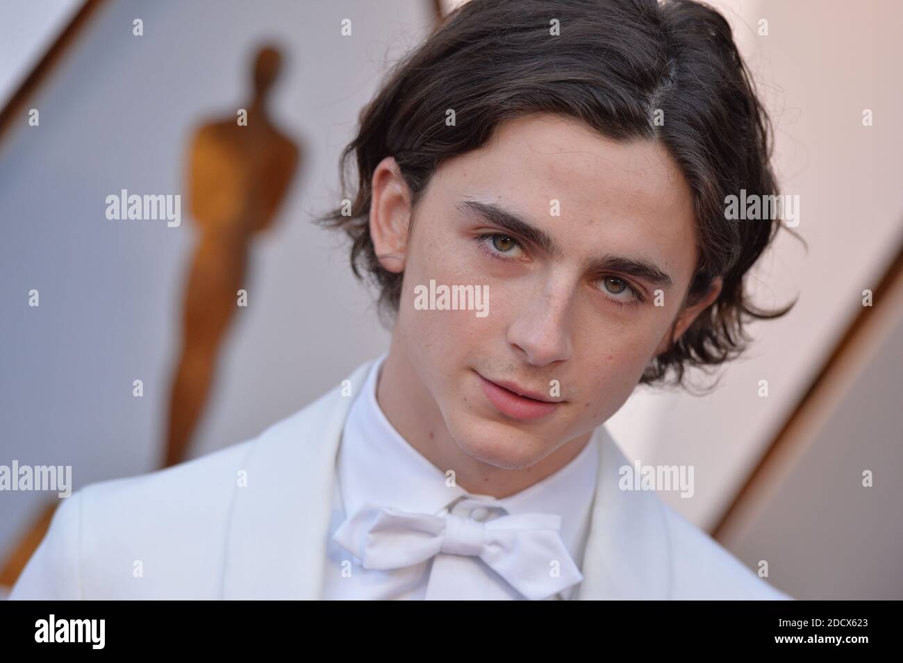 Timothee Chalamet arriving to the 90th annual Academy Awards (Oscars ...