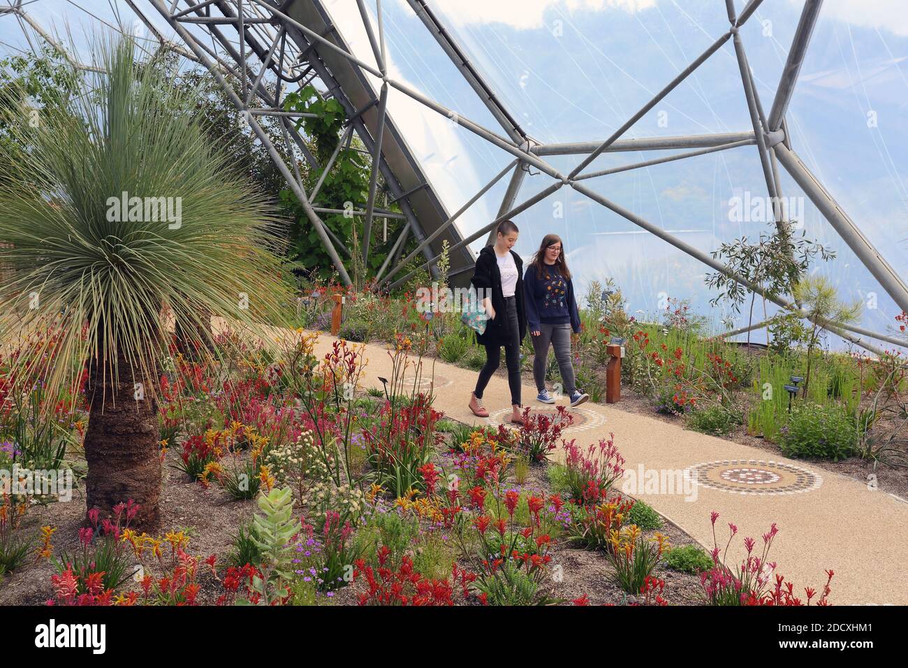 Interior of Mediterranean biome with visitors, Eden Project, Cornwall, UK Stock Photo