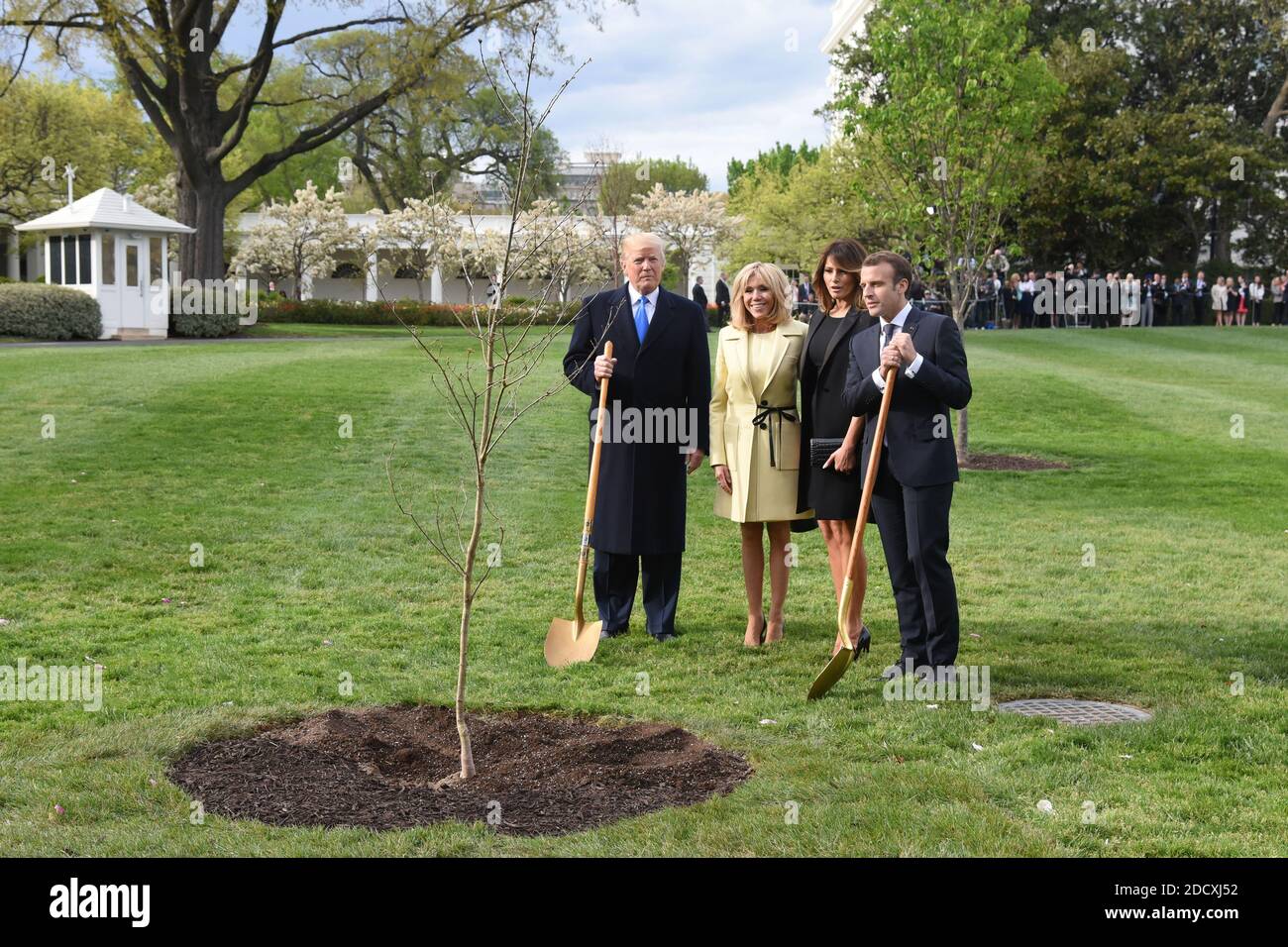 U.S President Donald Trump and First Lady Melania Trump join French President Emmanuel Macron and his wife Brigitte Macron to plant on the South Lawn of the White House a tree that the Macrons provided as a gift, a European Sessile Oak April 23, 2018 in Washington D.C . Photo by Olivier Douliery/ABACAPPRESS.COM Stock Photo