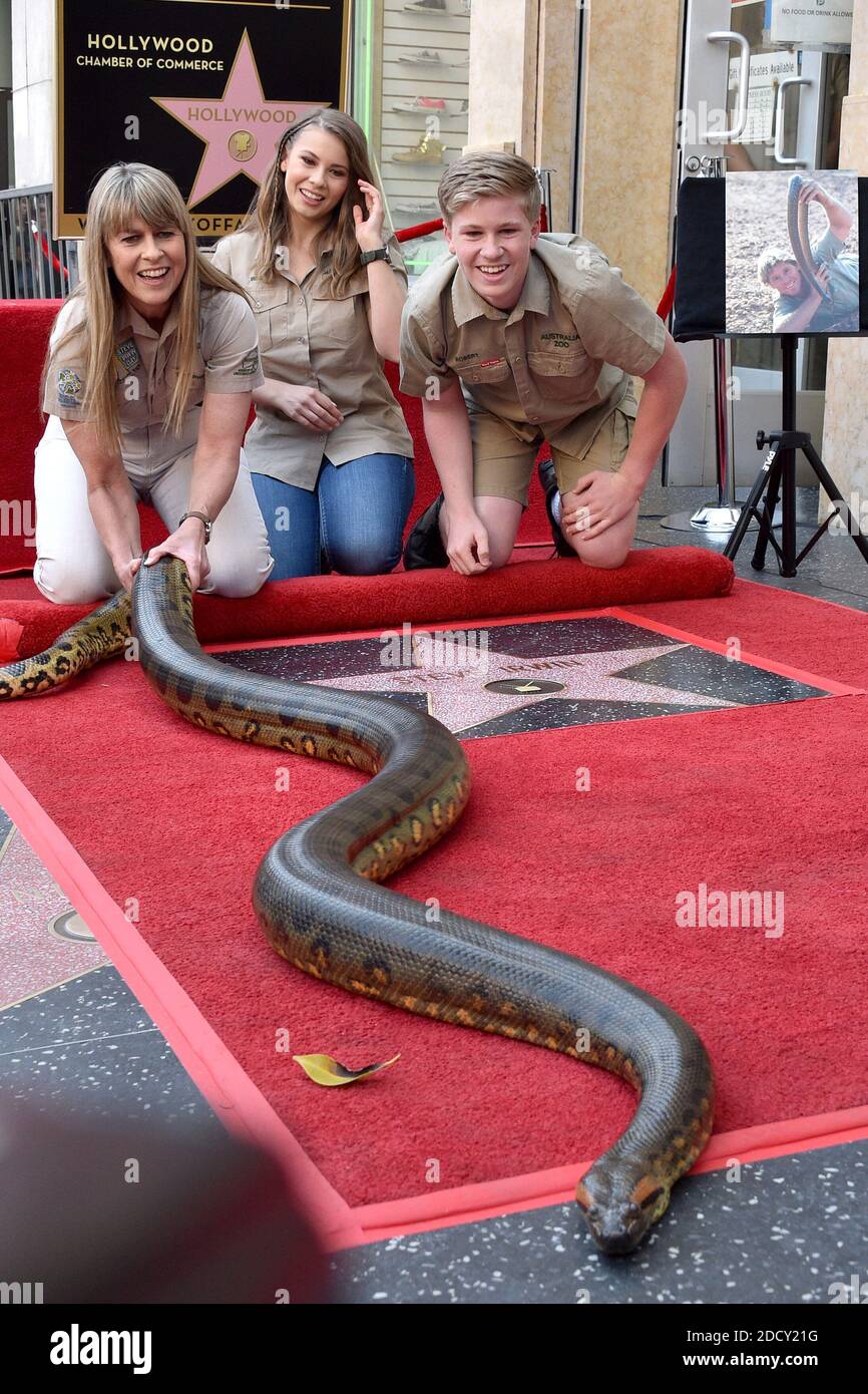 Terri Irwin, Bindi Irwin and Robert Irwin attend the ceremony honoring ...