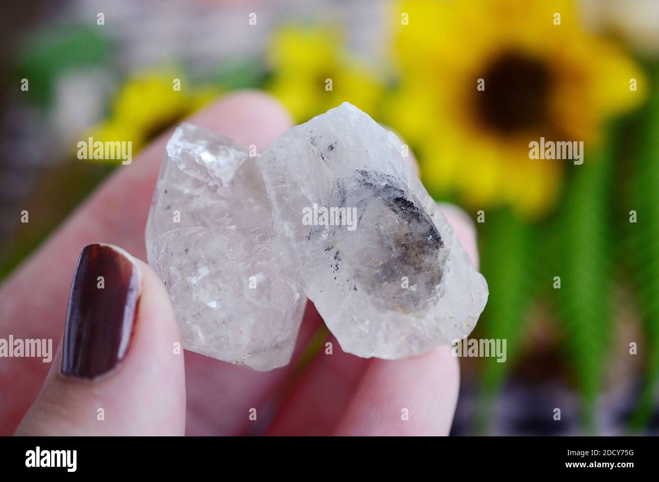 Clear quartz being held in woman's hand. Clear quartz point in the sunlight. Healing quartz with
