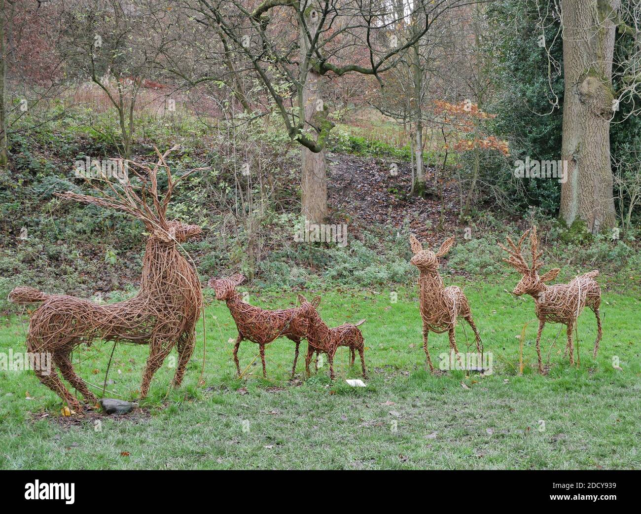 Five large sculpture models of deer in woven willow in green field with trees in the background Stock Photo