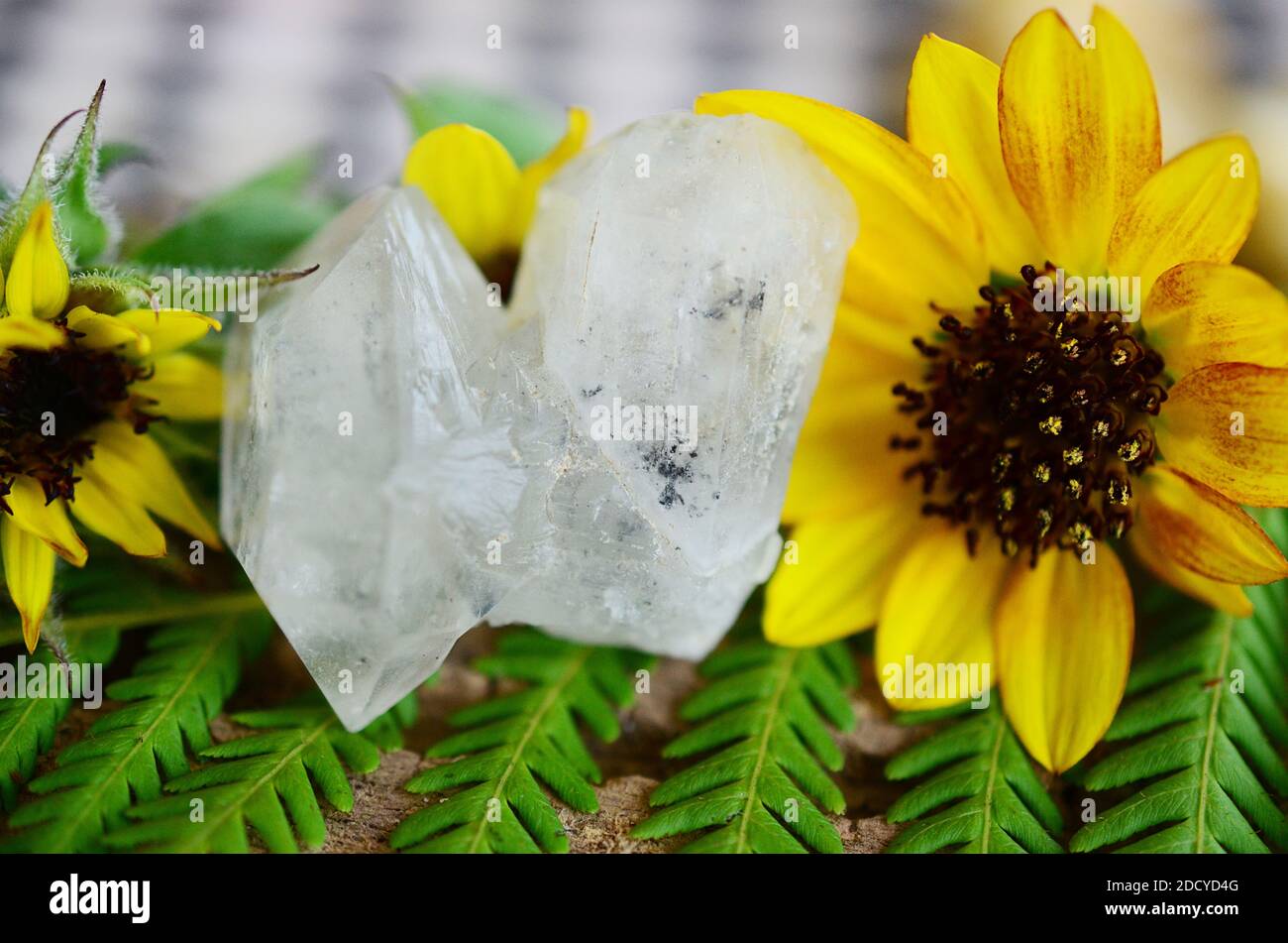 Clear quartz being held in woman's hand. Clear quartz point in the sunlight. Healing quartz with