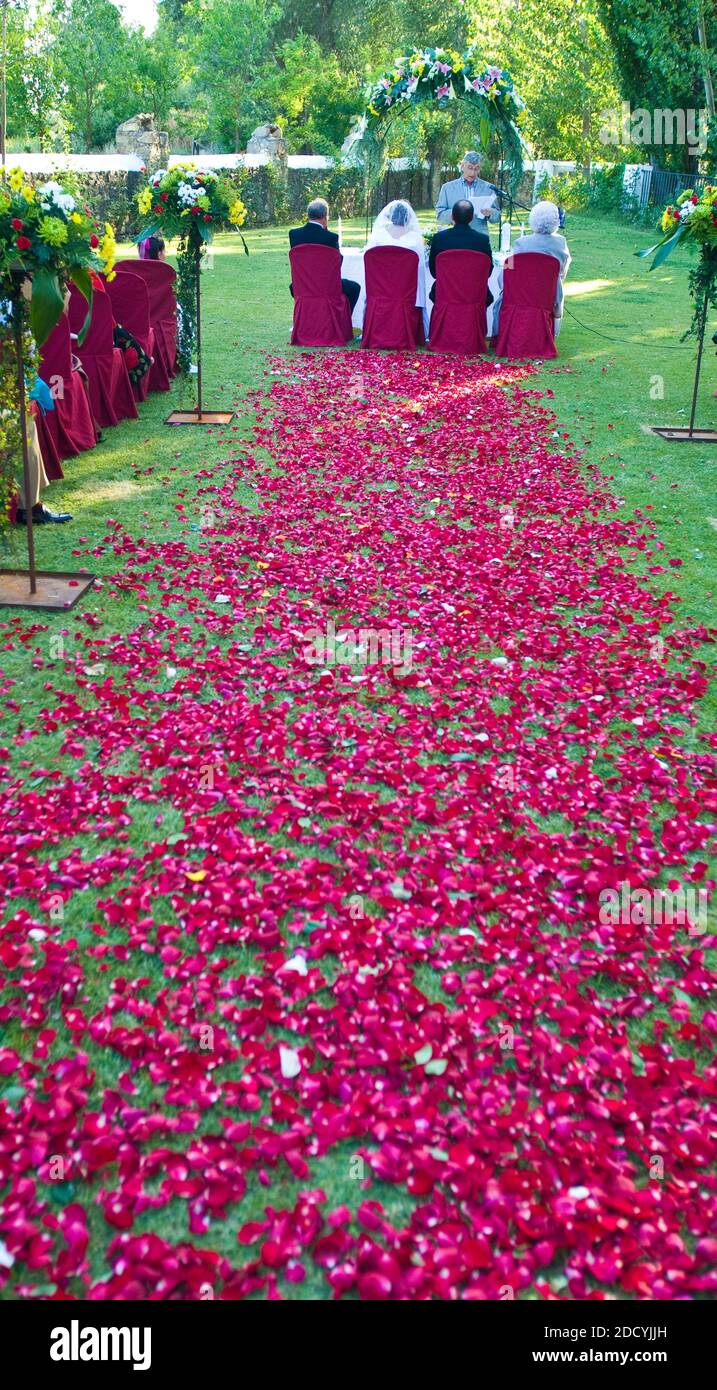 Path of Rose Petals at an Outdoor Wedding in Spain Stock Photo