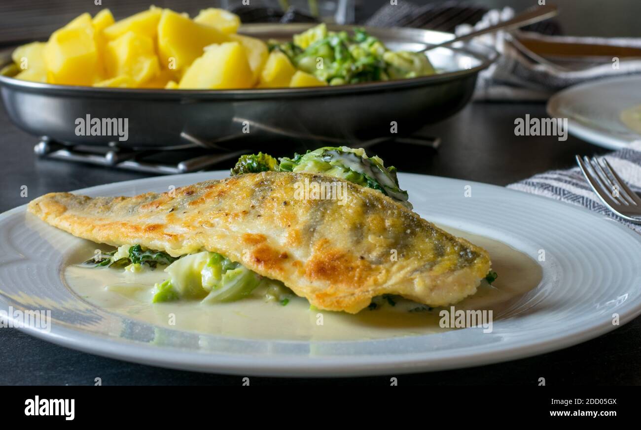 delicious fish dish with pike perch fillet, savoy vegetables, potatoes in a creamy beachamel sauce served on a kitchen table at home Stock Photo