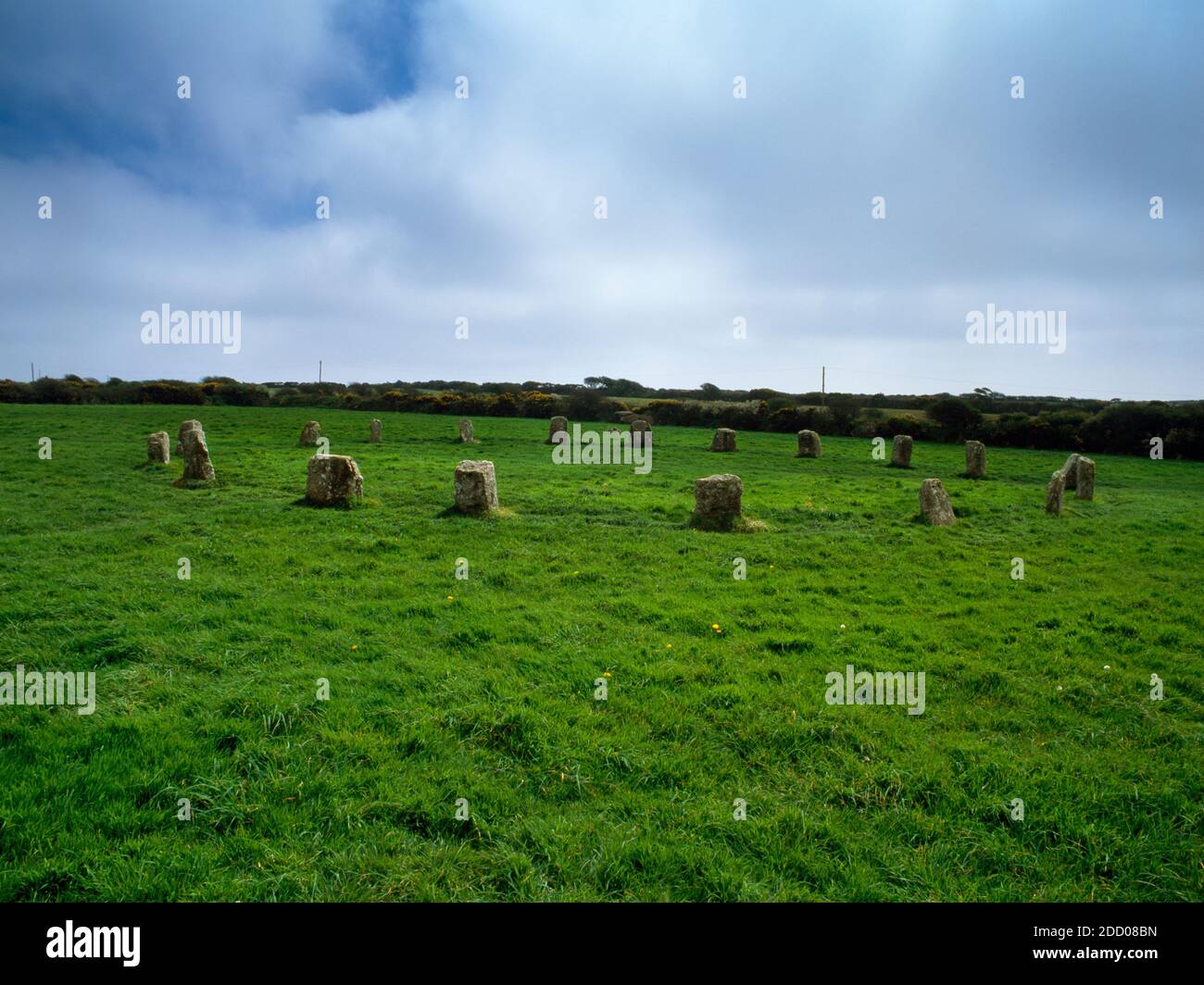 Looking S at the Merry Maidens stone circle, Boleigh, Cornwall: a perfect circle 78ft (23.8m) across of 19 stones, evenly spaced at 12ft (3.7m) apart. Stock Photo